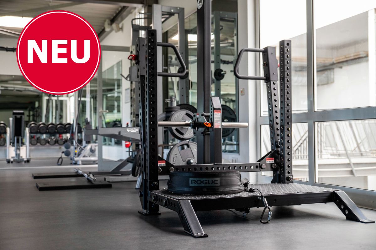 Die Belt Squat Maschine